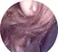 みぃのプロフィール画像
