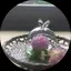 suzuのプロフィール画像