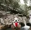 えつのプロフィール画像