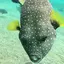 まなみのプロフィール画像