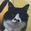 のののプロフィール画像