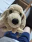 ゆみちぇのプロフィール画像