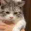 まんごろうのプロフィール画像