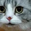 asaのプロフィール画像