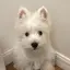 紗也香のプロフィール画像