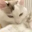 なのプロフィール画像
