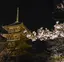 ことのプロフィール画像