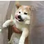 ゆうかのプロフィール画像