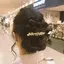 Aのプロフィール画像
