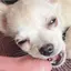 mmmのプロフィール画像