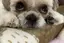 まみこのプロフィール画像