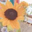 Sakiのプロフィール画像