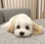 ❤︎のプロフィール画像