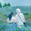 hiのプロフィール画像
