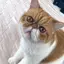 ゆいなのプロフィール画像