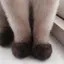 もふもふのプロフィール画像