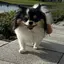 咲良のプロフィール画像