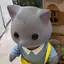 ねこのプロフィール画像