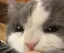 さなのプロフィール画像