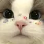 ぽりぽりのプロフィール画像