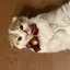 かずきのプロフィール画像