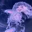 myのプロフィール画像