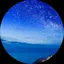 オリビアのプロフィール画像