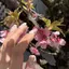 かんだのプロフィール画像