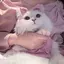 になのプロフィール画像