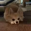 ゆきのプロフィール画像
