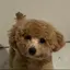 ゆらのプロフィール画像