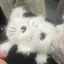 そらのプロフィール画像