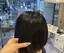 ねこのプロフィール画像