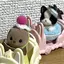 Kのプロフィール画像