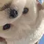 ｕｉのプロフィール画像