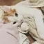 ゆーみんのプロフィール画像