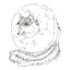 shieのプロフィール画像