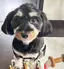 らんらんのプロフィール画像