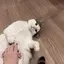 ゆきのプロフィール画像