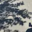 きのプロフィール画像