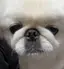 貴子のプロフィール画像