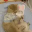 ♡のプロフィール画像