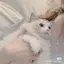 おとはのプロフィール画像
