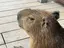 たっくんのプロフィール画像
