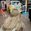 カナのプロフィール画像