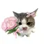 みちゃまのプロフィール画像