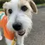 メグメグのプロフィール画像