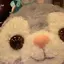 belleのプロフィール画像