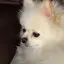 aのプロフィール画像