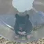 ゆりこのプロフィール画像